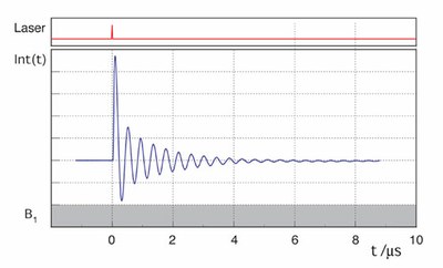 transient-nutation.jpg