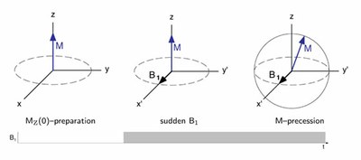 transientEPR-B1.jpg