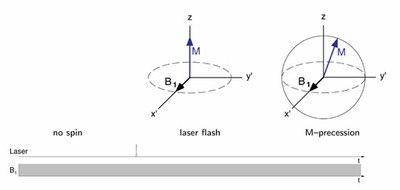 transientEPR-laser.jpg