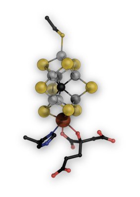 Eisen-Molybdän-Kofaktor in Nitrogenase
